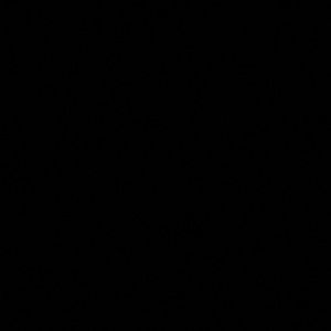 Meet your Posher, Isaiah